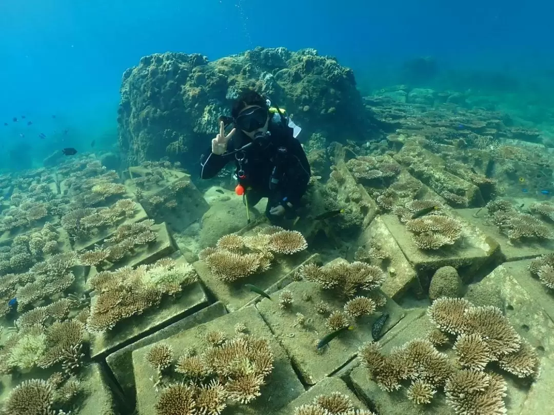 澎湖潛水: 海底郵筒體驗潛水（免證照）