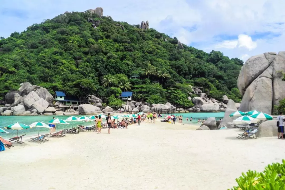 Day Trip to Koh Nangyuan & Koh Tao by Insea Speedboat from Samui