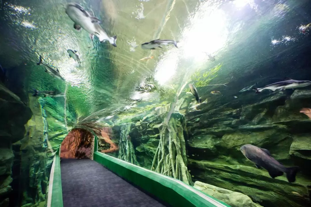 首爾樂天世界水族館門票