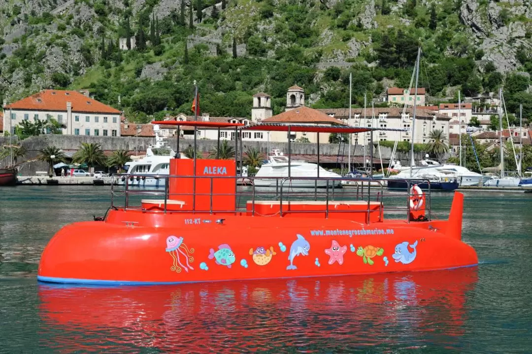 코토르 파노라마 & 반잠수함 수중 투어