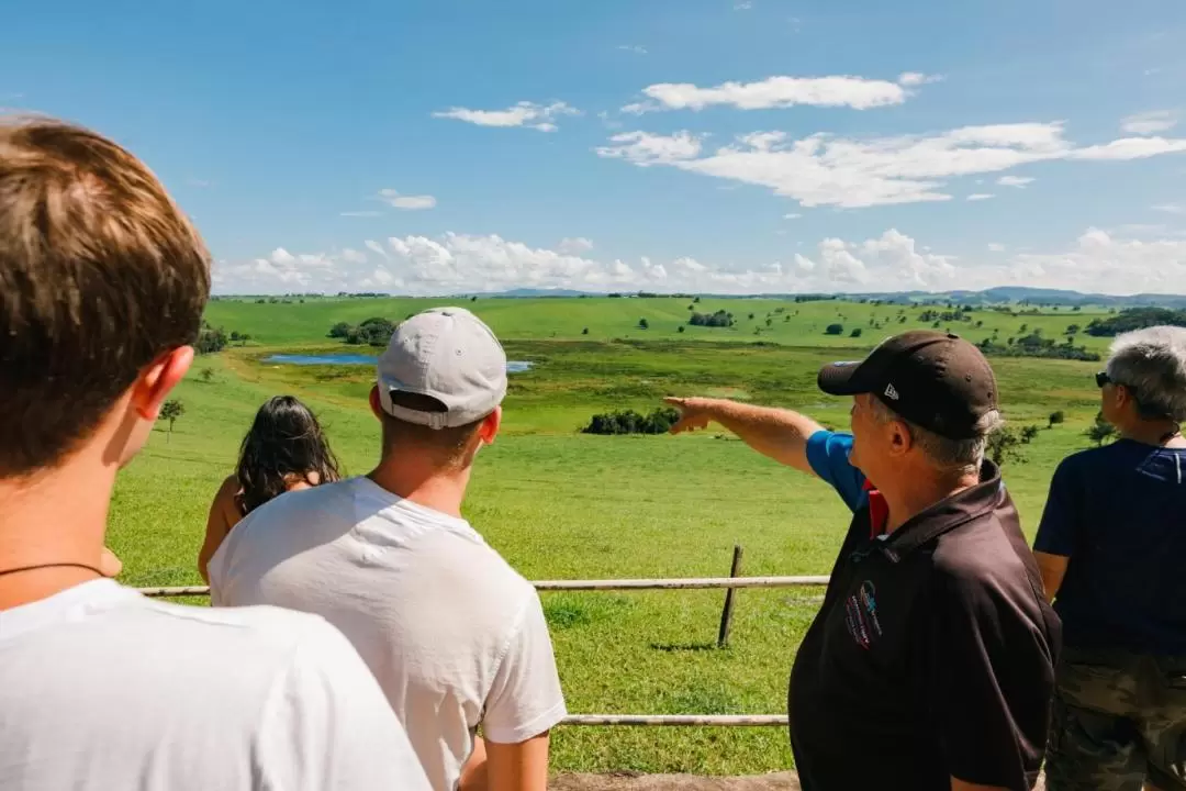 Atherton Tablelands Waterfall & Rainforest Day Tour from Cairns