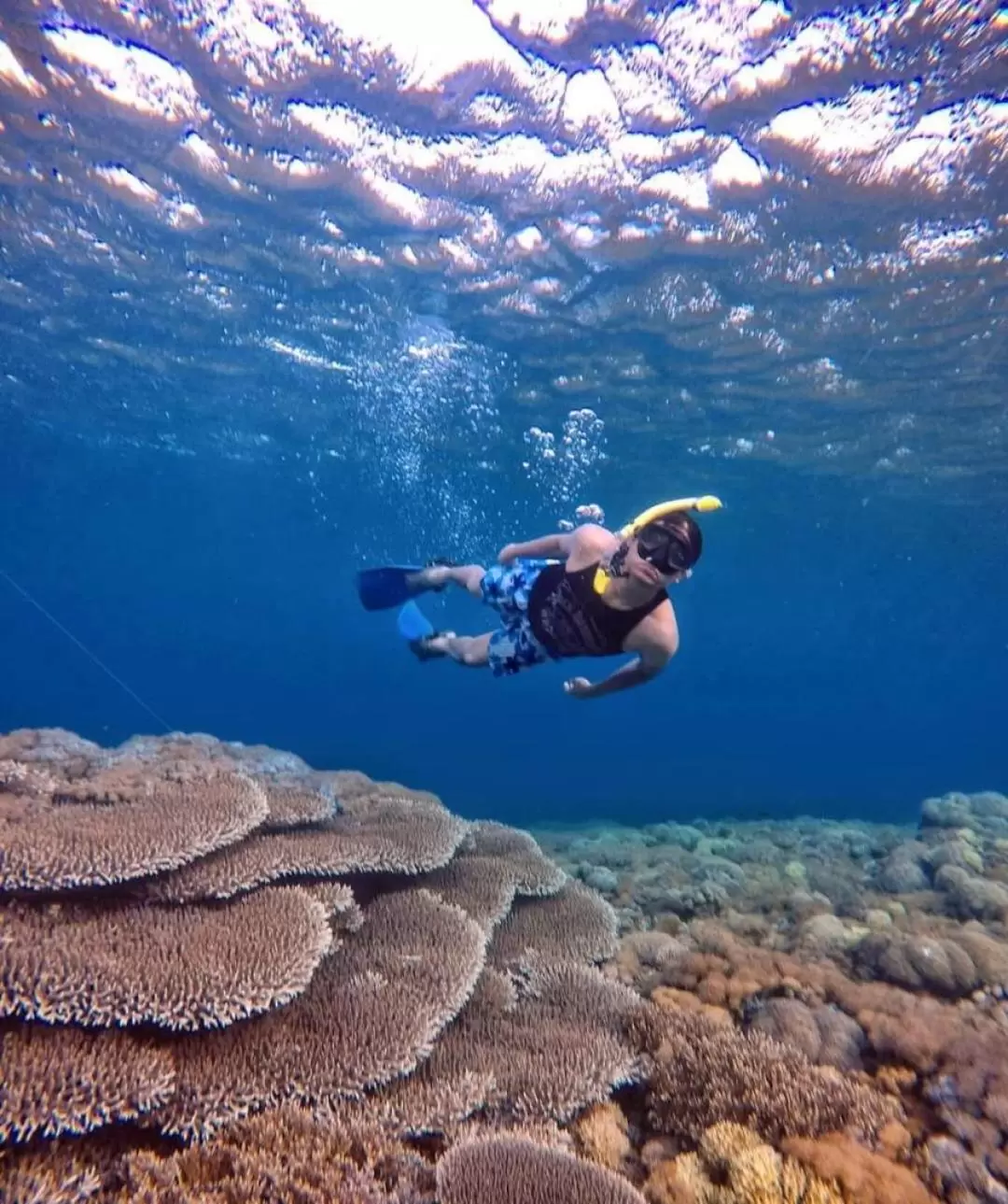 Gili Petelu and Pink Beach Snorkeling Tour in Lombok