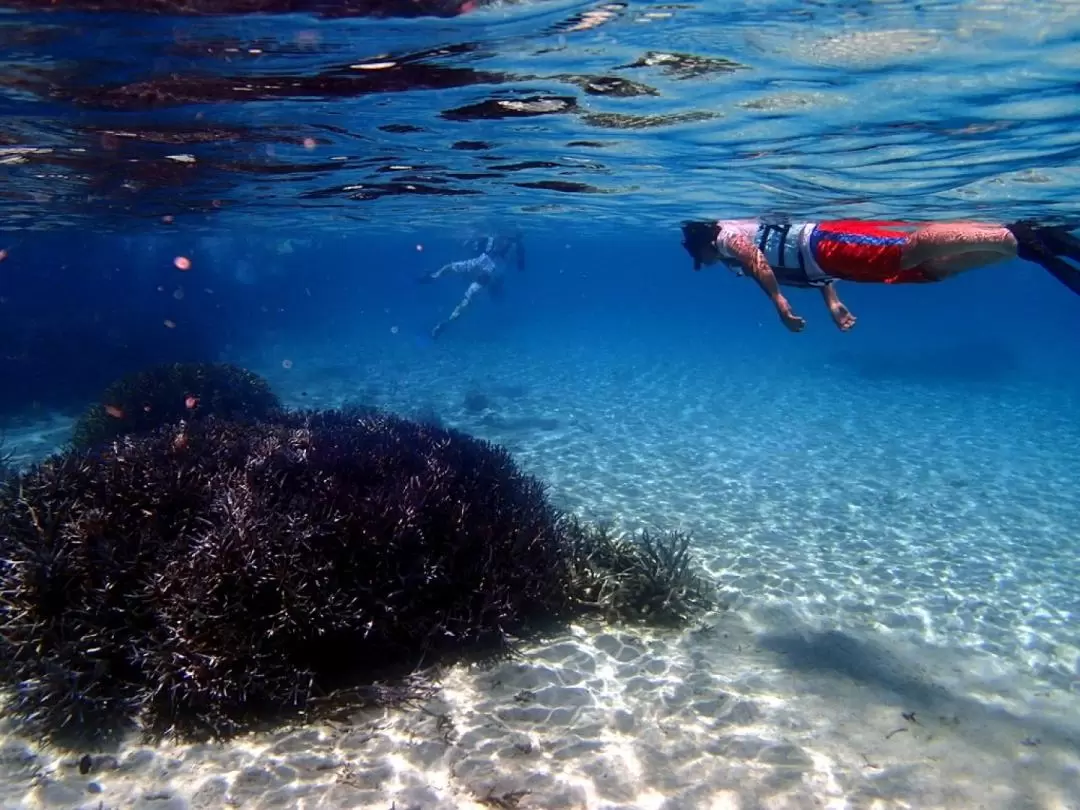 Phantom Island and Snorkeling Experience in Ishigaki Island 