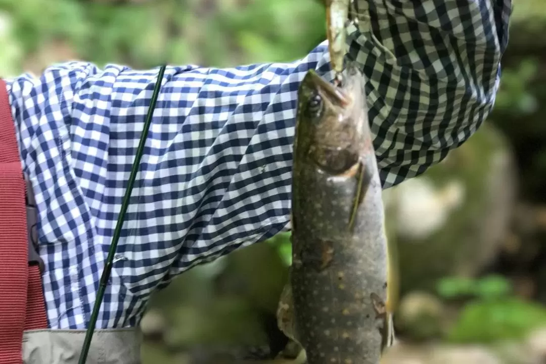 新潟鄉土釣魚體驗