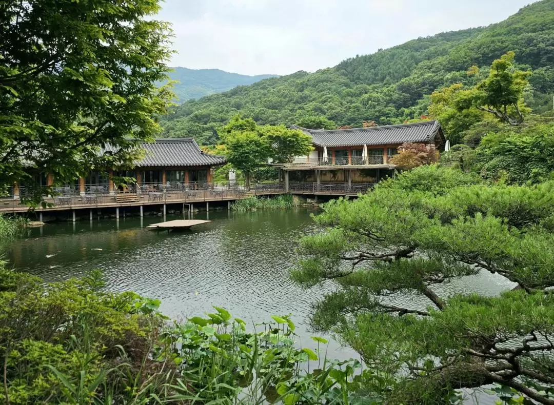 和談林植物園 & 南漢山城 & 愛寶樂園一日遊