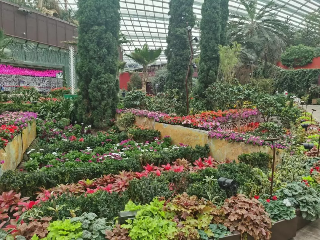 新加坡滨海湾花园 & 滨海湾金沙酒店徒步游览（包海鲜午餐/晚餐）