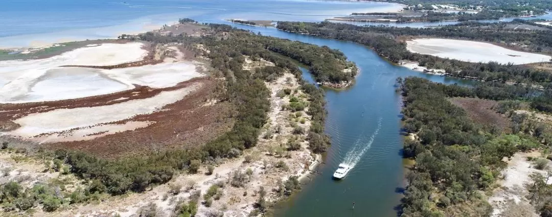 Murray River Lunch Cruise in Mandurah