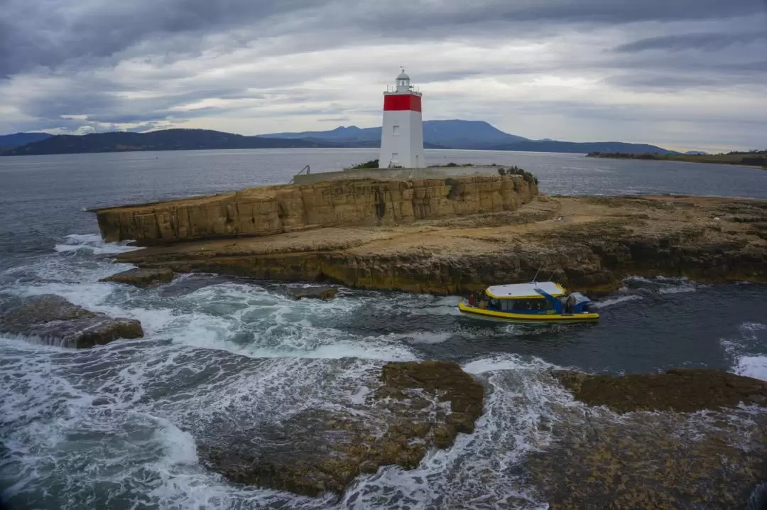 Iron Pot Lighthouse coastal eco-cruise from Hobart