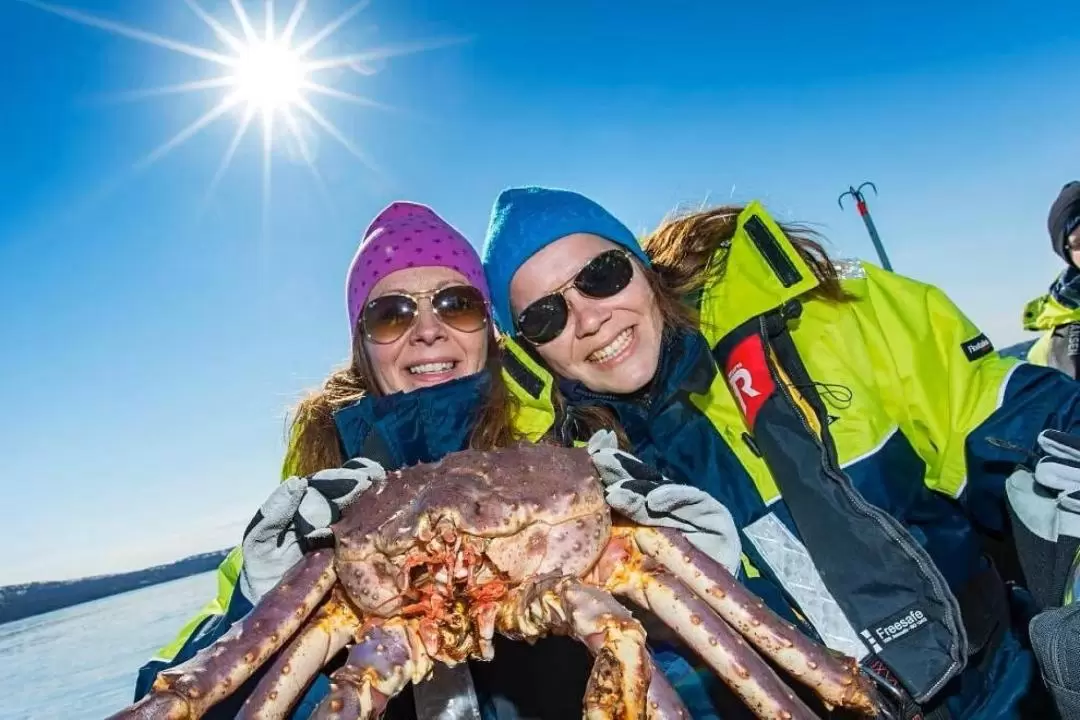 2DN1 King Crab Seafood Safari to Kirkenes from Rovaniemi 