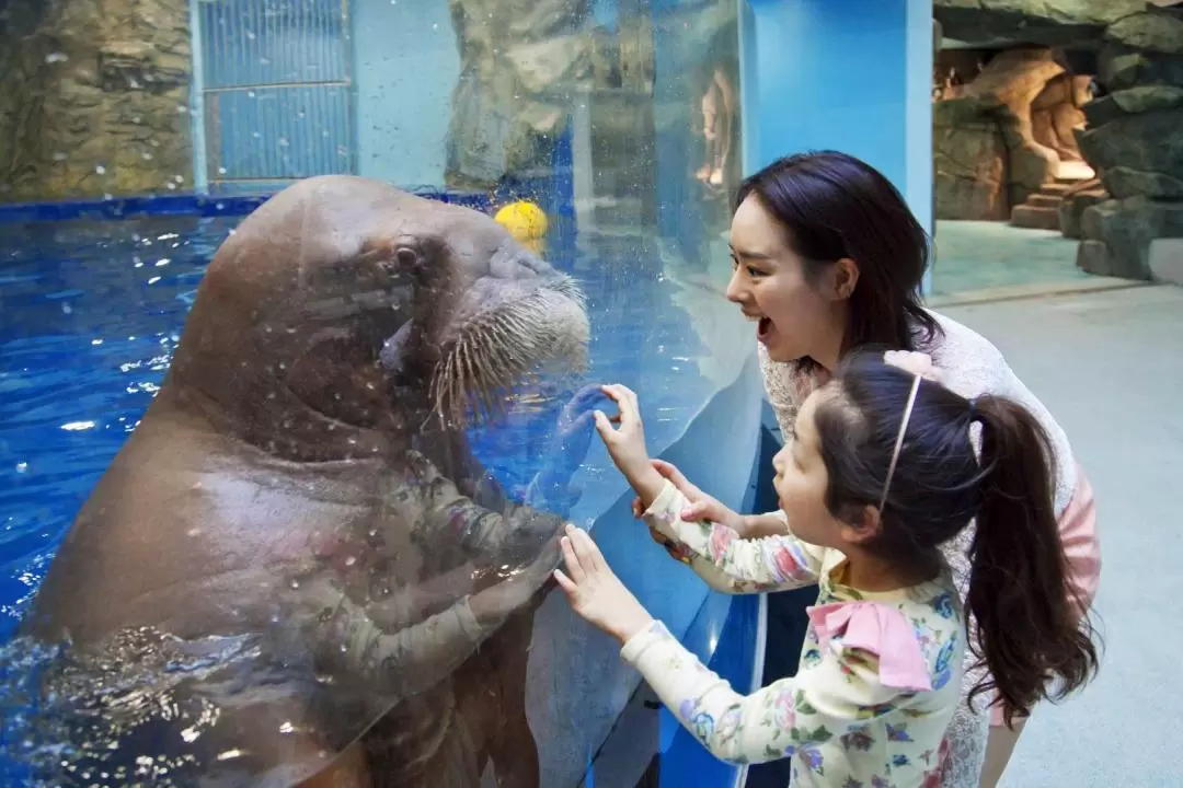 一山韓華 Aqua Planet 水族館門票