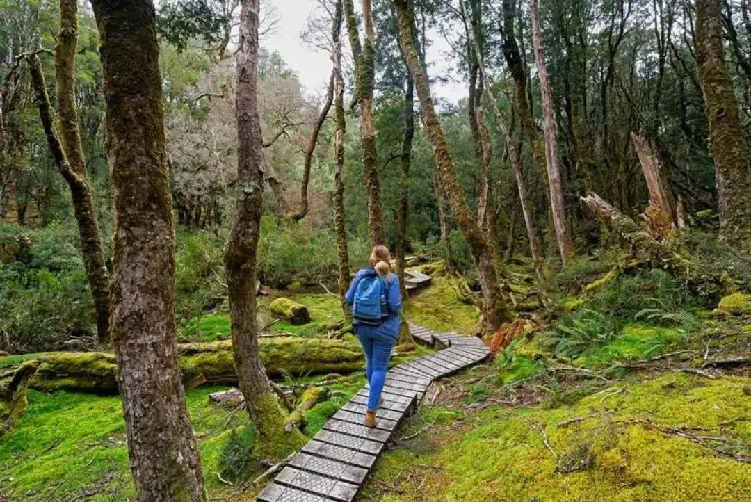 Walk Cradle Mountain National Park 