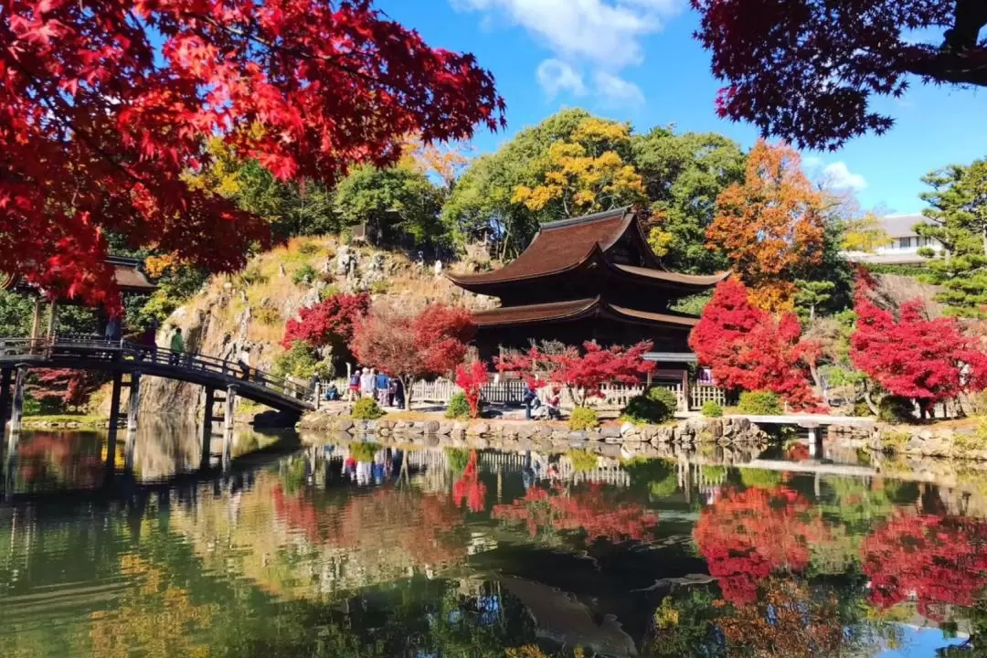 永保寺＆香嵐溪賞楓葉＆四季櫻一日遊（名古屋出發）