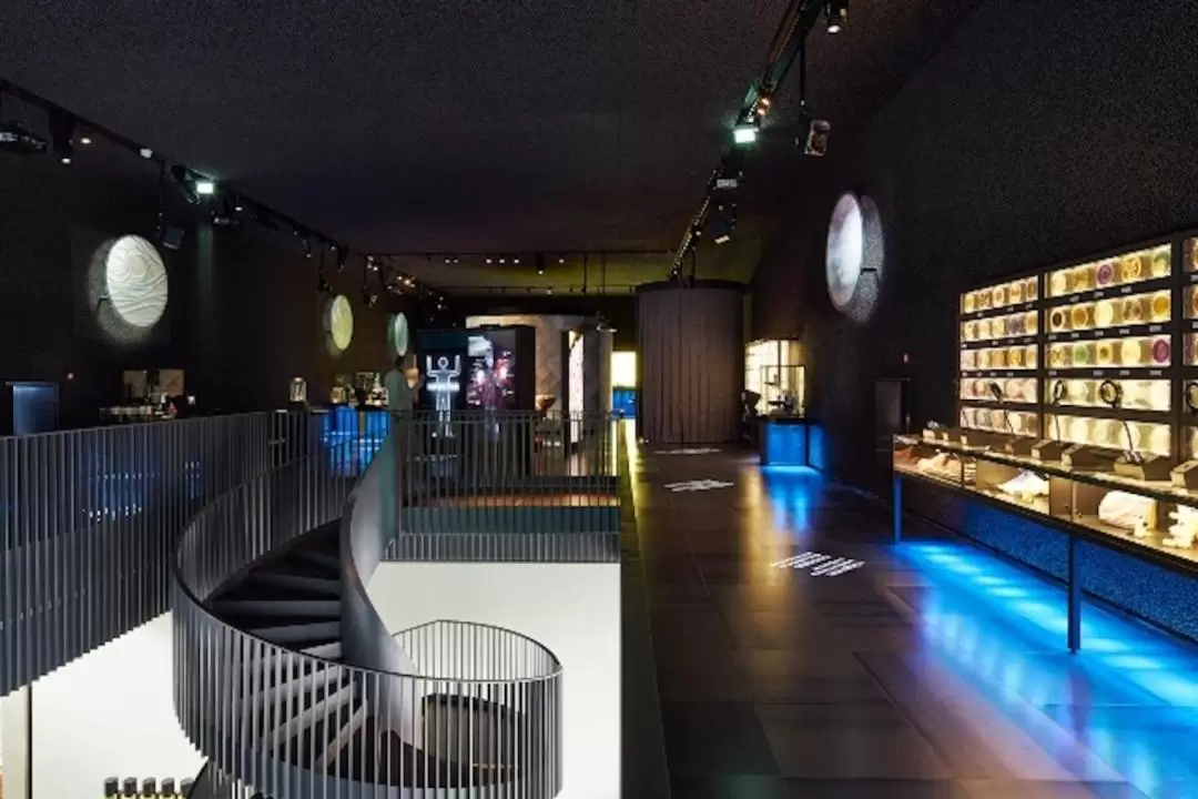 ARTIS Micropia Admission in Amsterdam