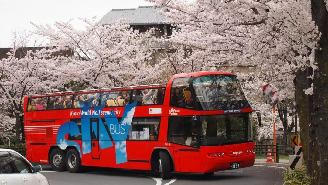 Kyoto Hop-On Hop-off sightseeing bus by Skyhop Bus (1day / 2days ticket)