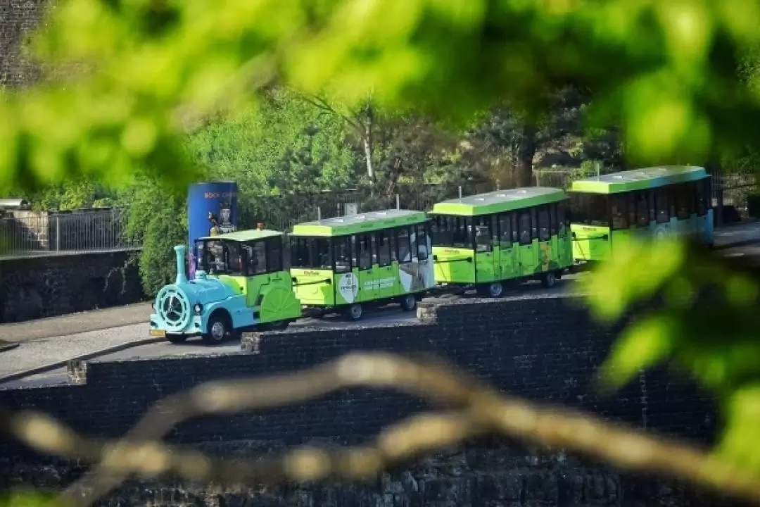 盧森堡老城區城市小火車