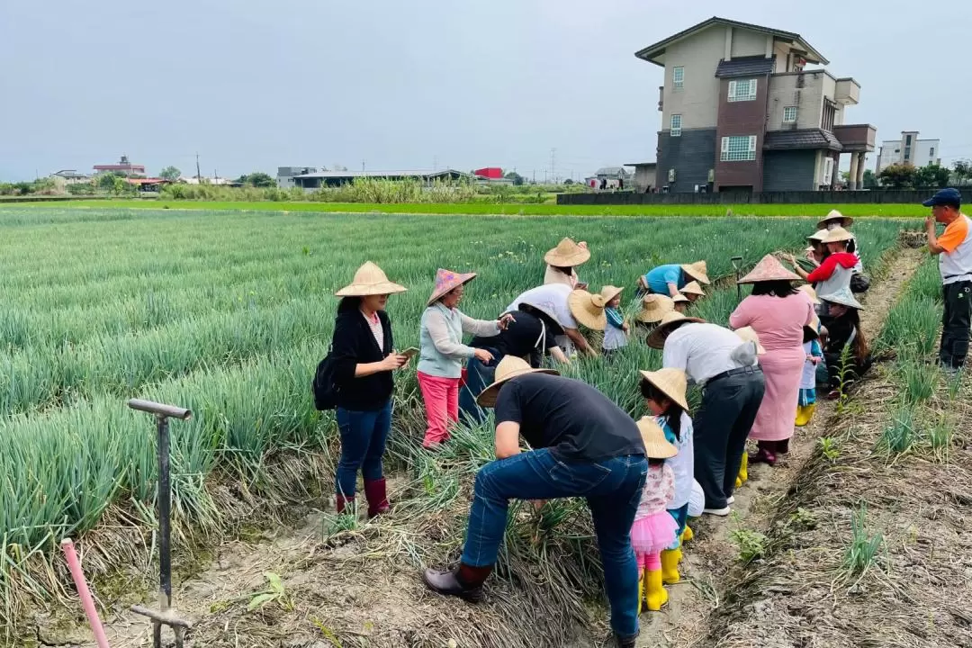 Scallion Pancake DIY Experience in Yilan