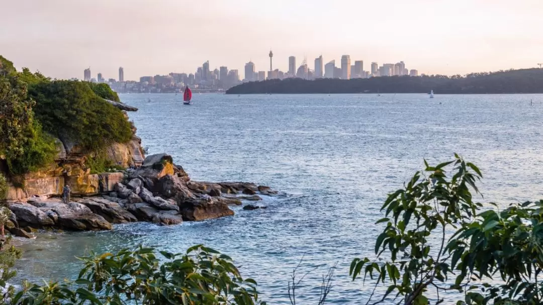 Watsons Bay Guided Walking Tour from Sydney