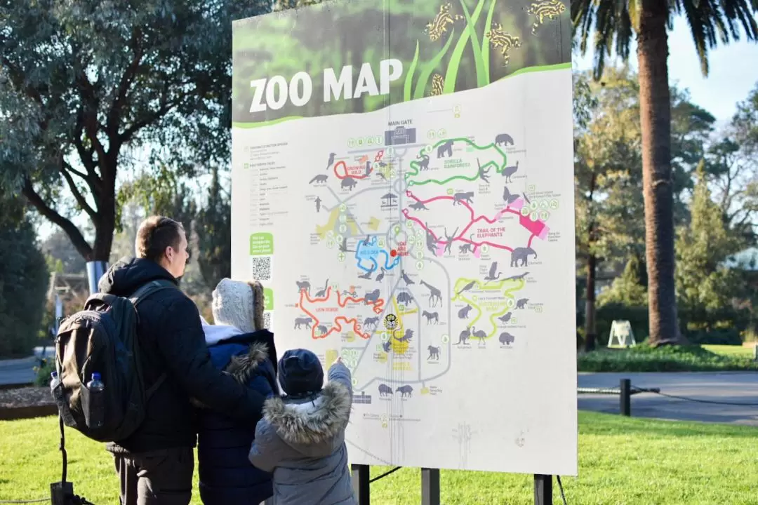 Melbourne Zoo Ticket 