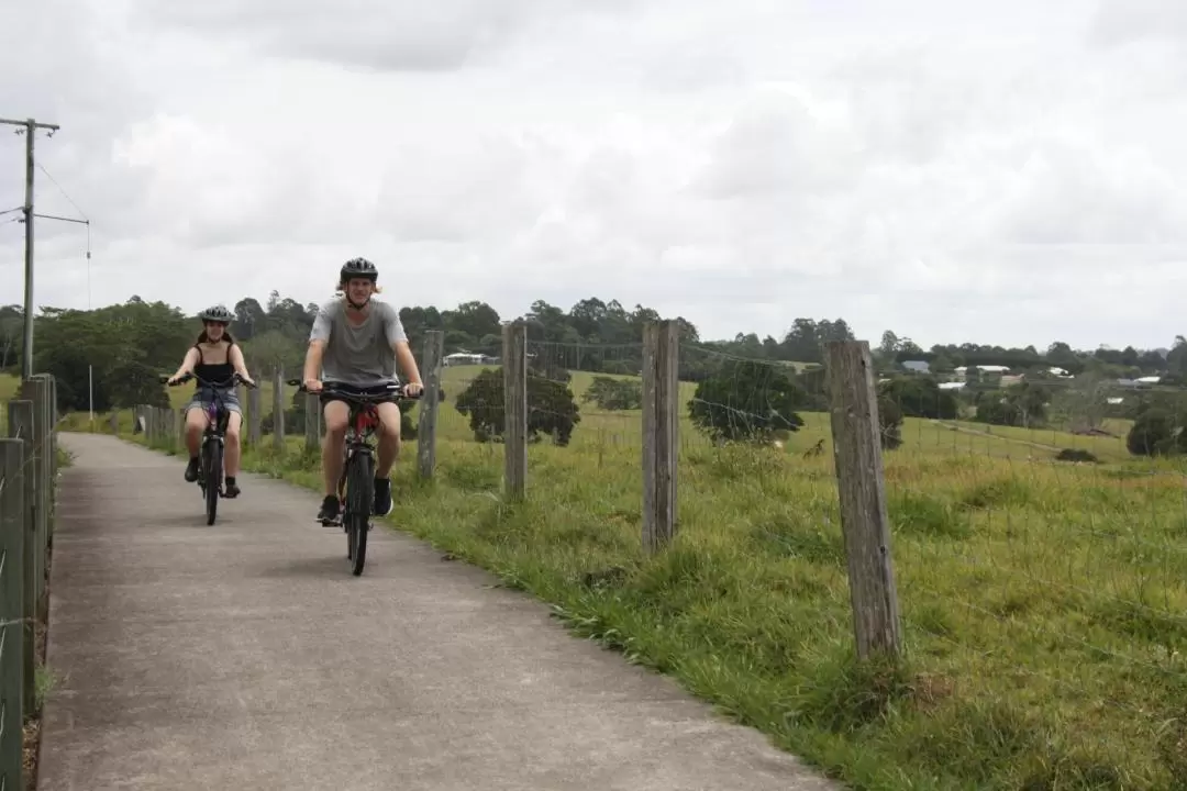 Pt Cartwright 3hr e-Bike Tour on the Sunshine Coast