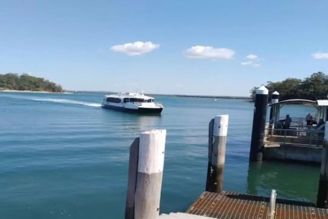 モートンベイ諸島 半日ツアー（ブリスベン発）