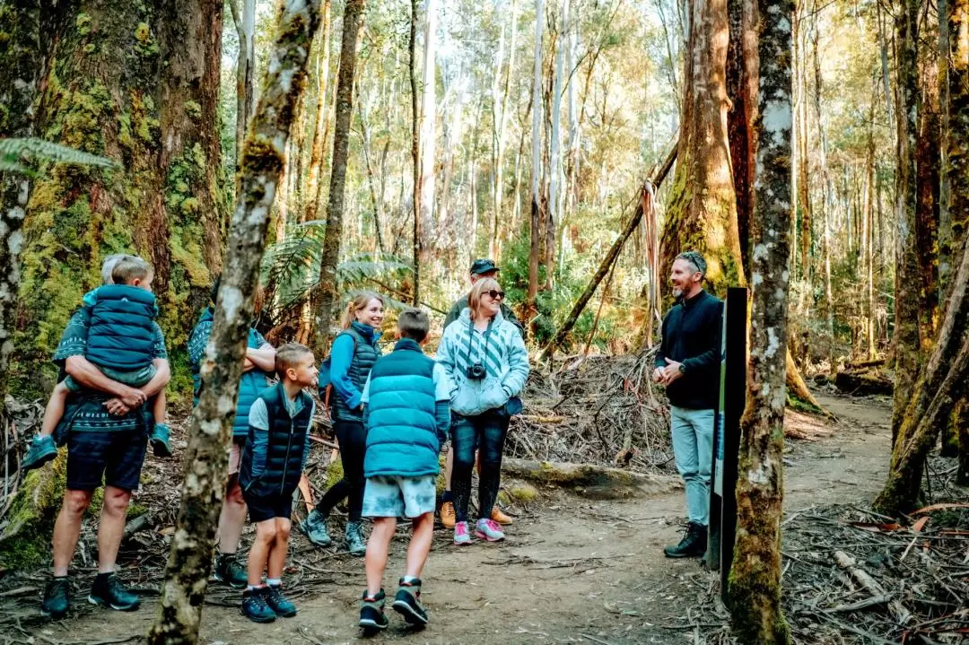 Bonorong Wildlife Sanctuary and Richmond Day Tour from Hobart with Tasmanian Mountain Stops