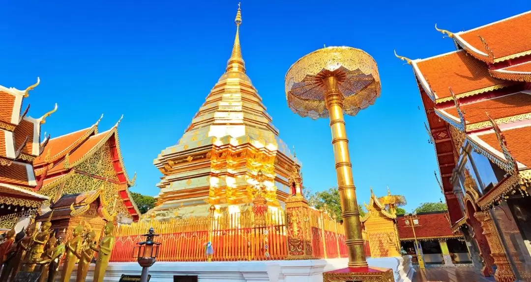 Chiang Mai Doi Suthep & Chiang Mai University Half Day Tour