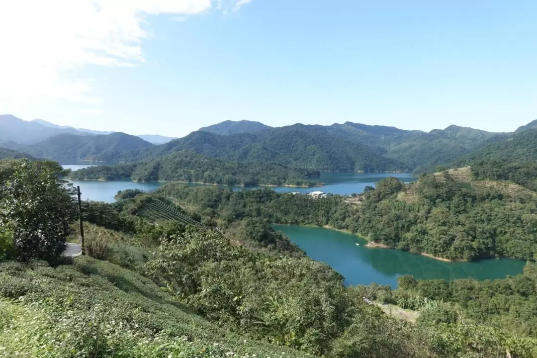 坪林・猫空村 お茶文化めぐり 日帰りツアー（台北発）