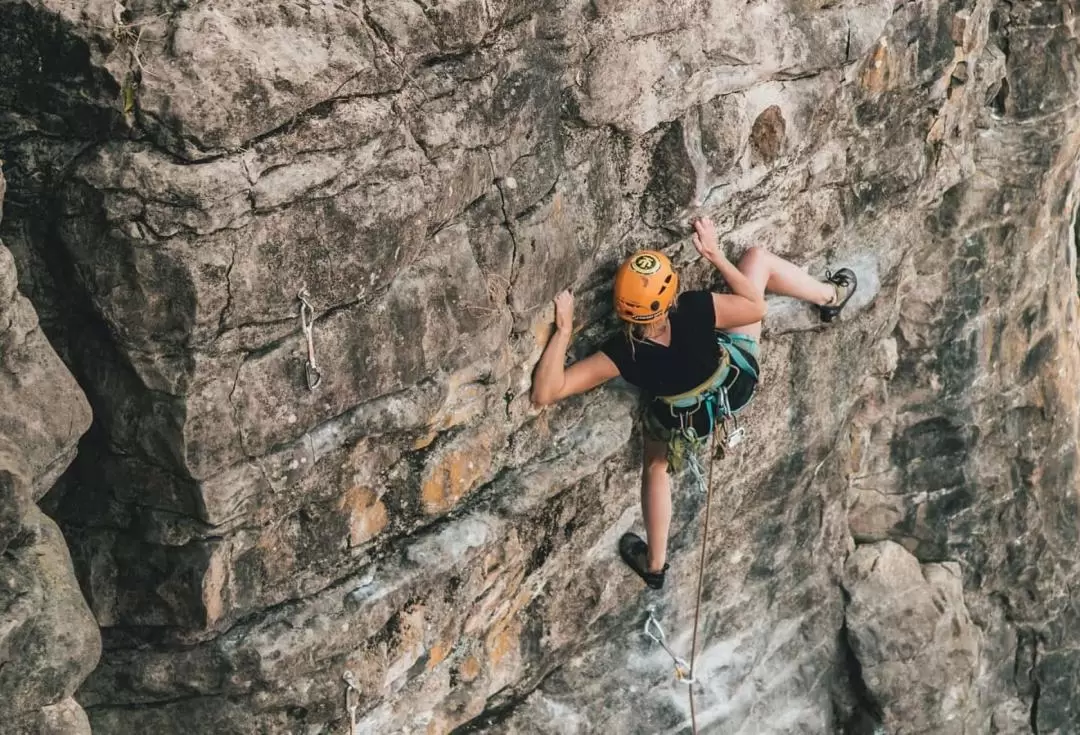 Top Rope Climbing Adventure in Raglan