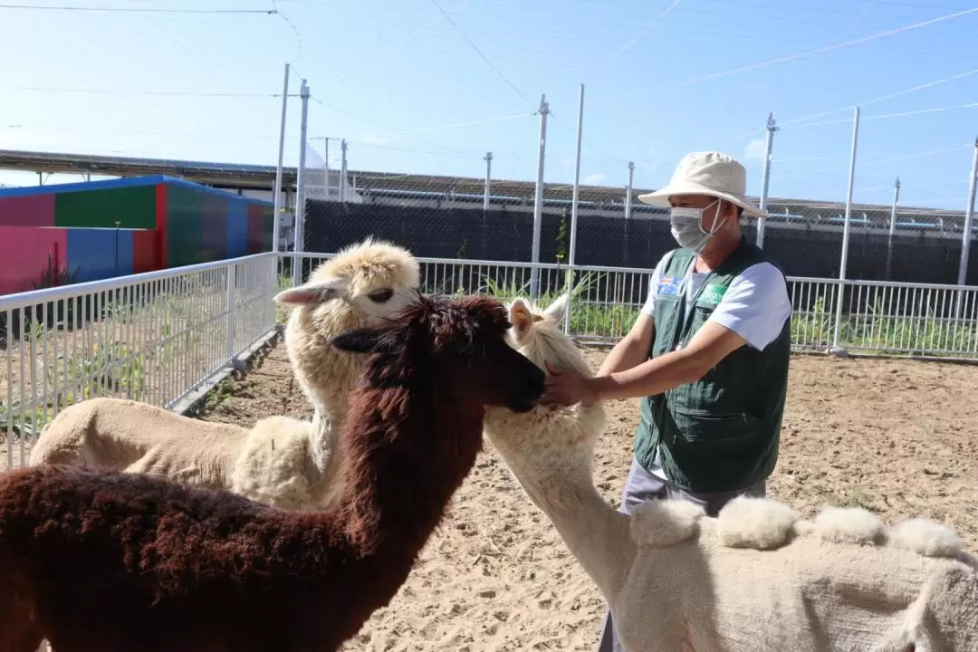 ティエンティエンファーム＆動物園 入園チケット（ファンラン）