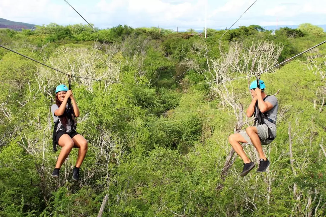 Coral Crater 6-Zipline Tour in O'ahu