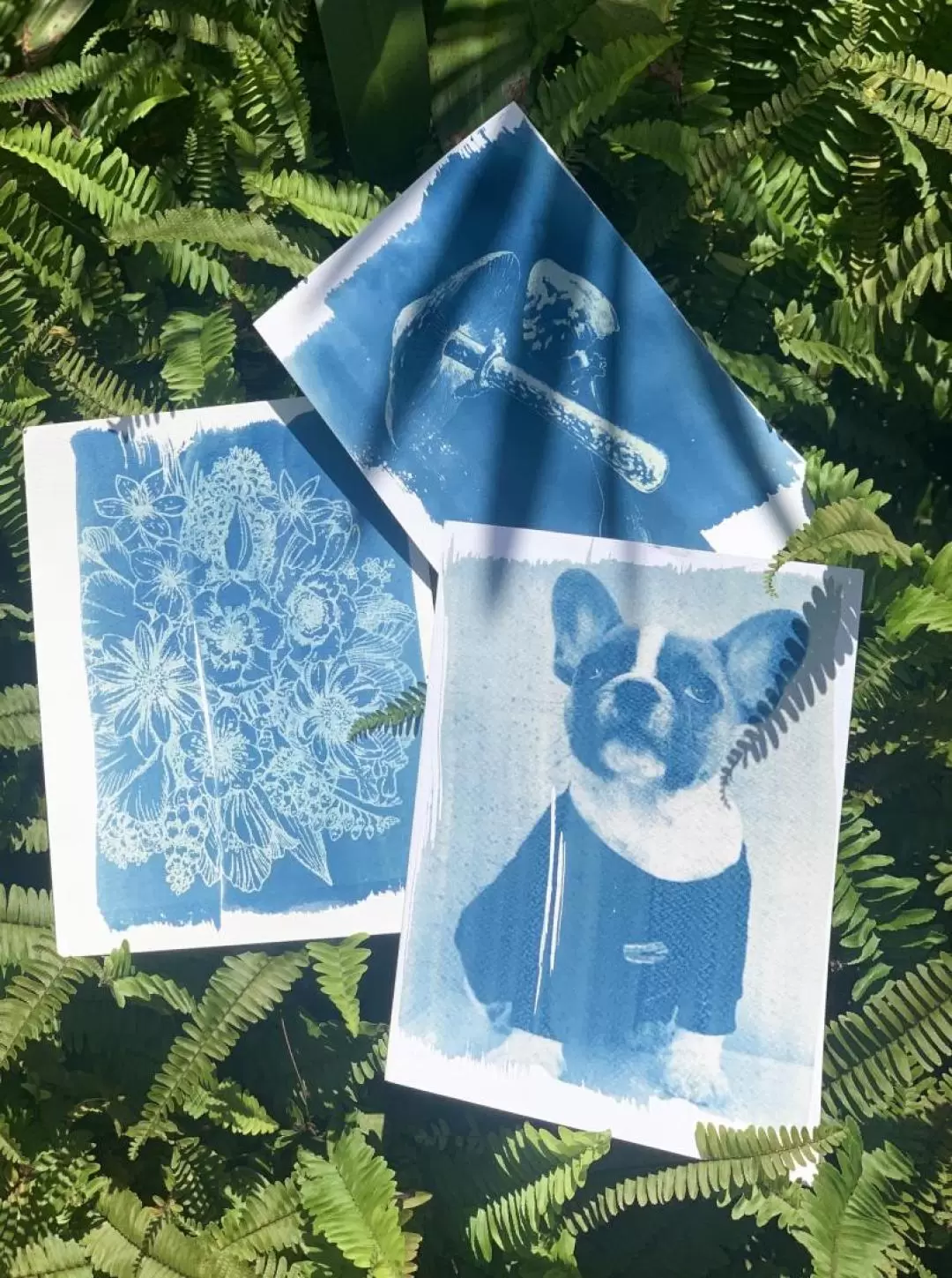 Botanical Printing Workshop | Cyanotype Workshop | Central