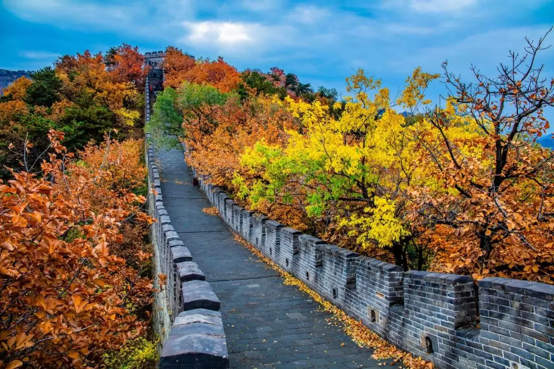 [Sale] Mutianyu Great Wall Day Tour from Beijing