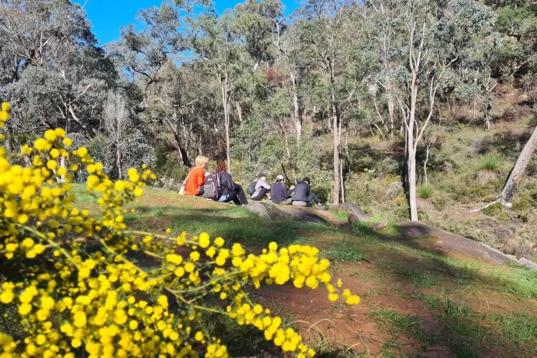 Hike, Wine & Dine Experience in the Perth Hills