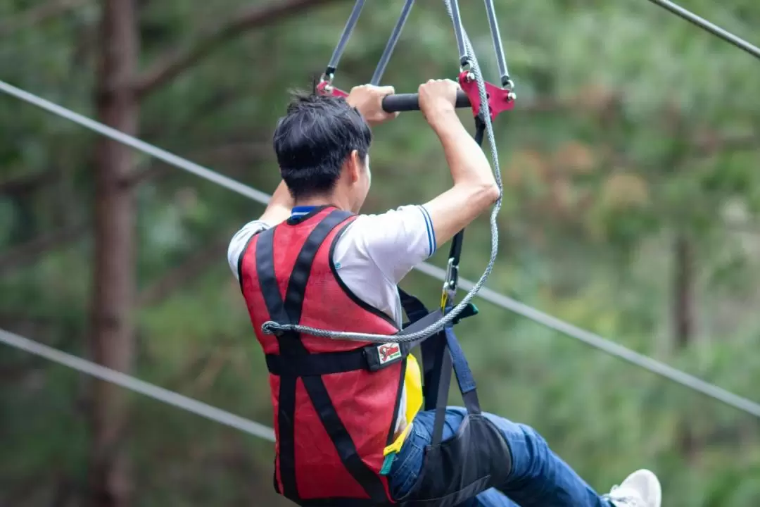 Zipline Experience at Datanla Da Lat