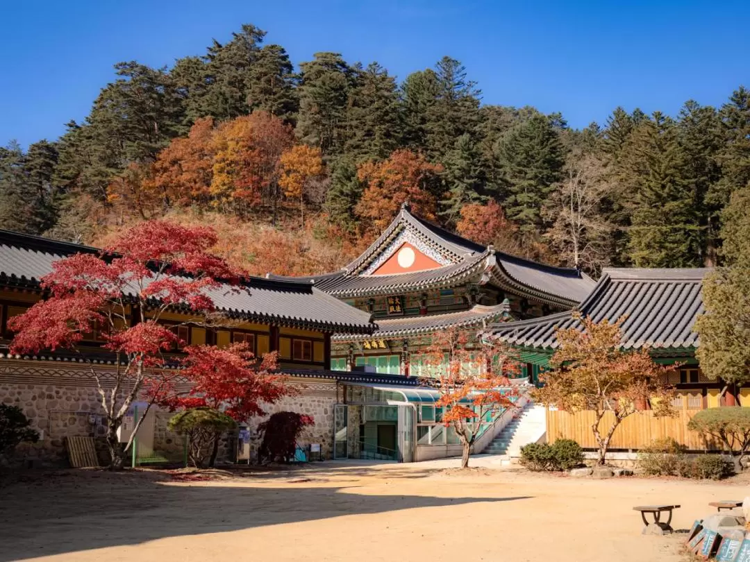 五臺山國立公園賞楓一日遊（首爾出發）