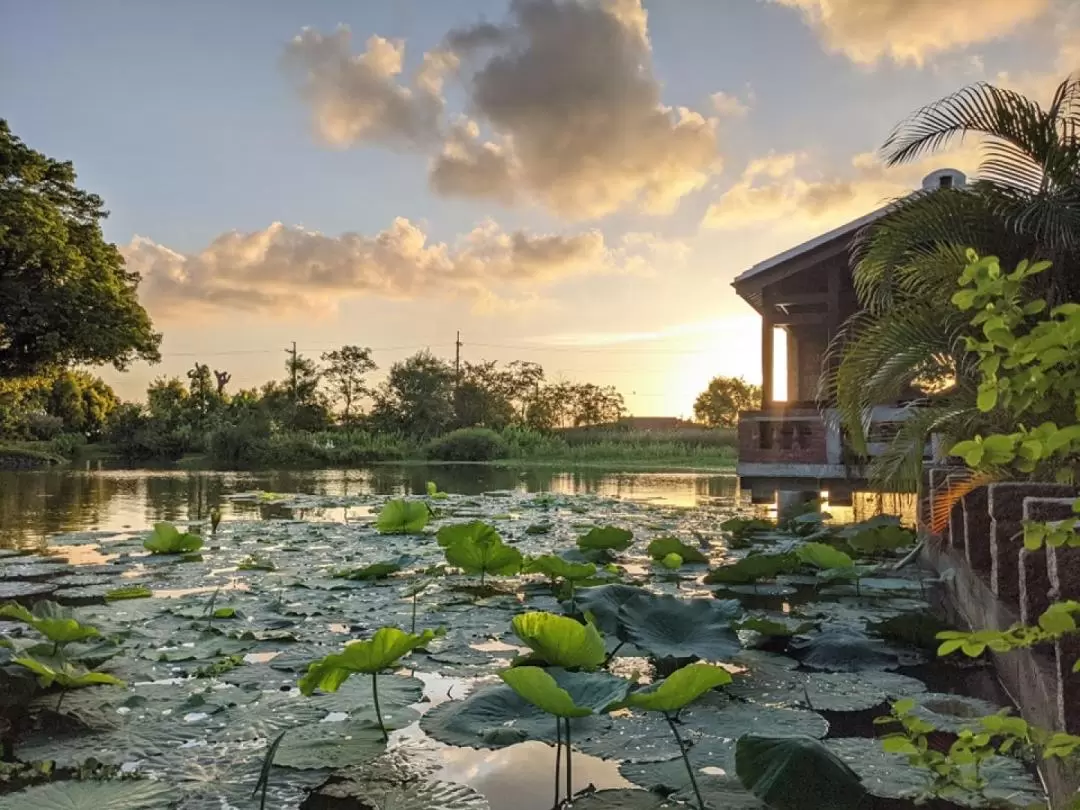 三秀園 入園チケット（雲林）