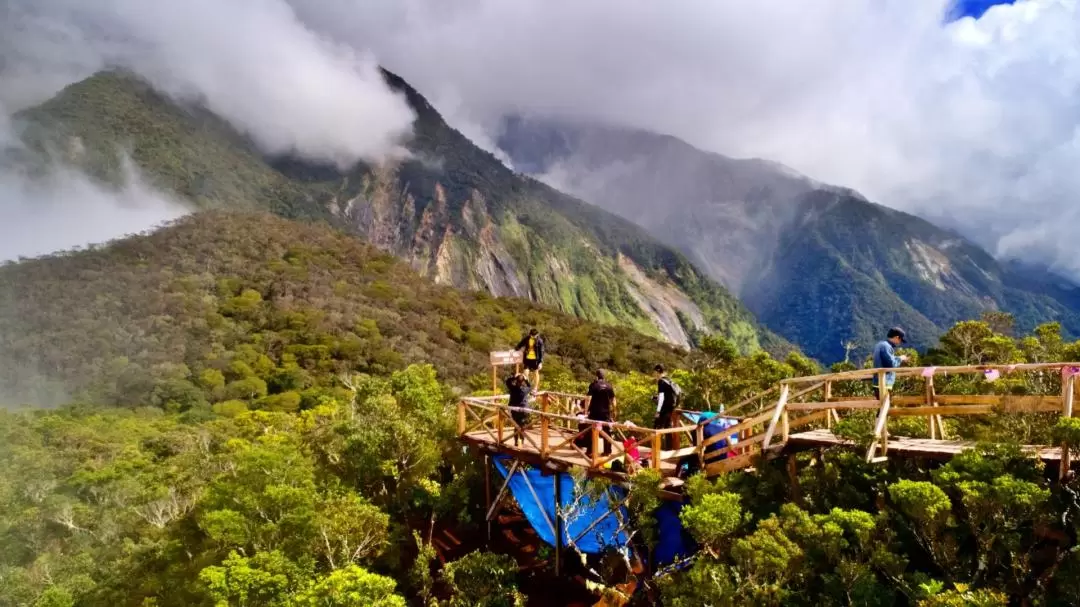 Maragang Hill Crocker Range Hiking Experience from Kota Kinabalu