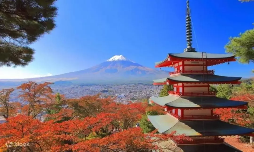 Mt Fuji & Five-storied Pagoda & Illumination & Ropeway Day Tour