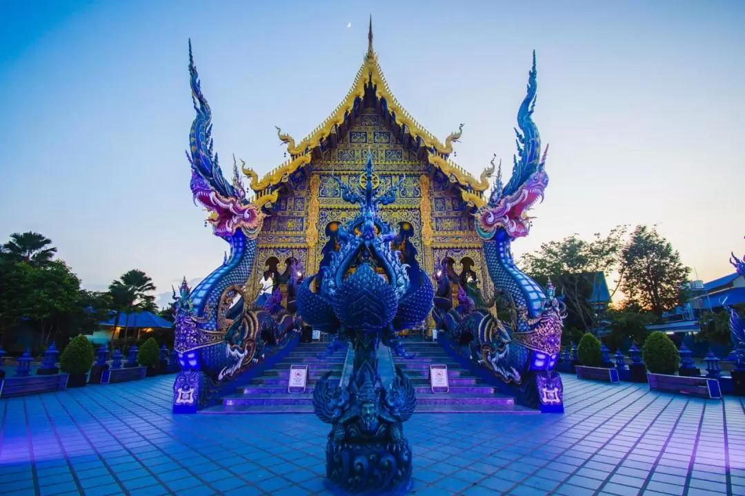 Chiang Rai Iconic White, Blue Temple, Black House Museum and Hot Spring Visit Day Tour