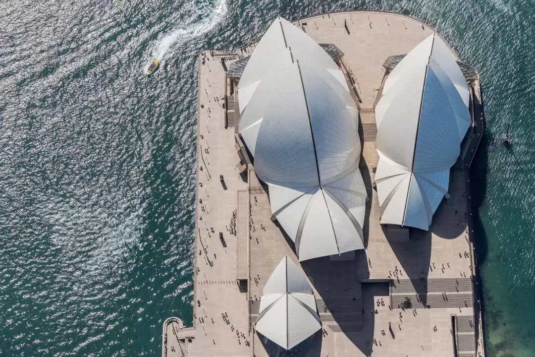 The Opera House Architectural Guided Tour from Sydney