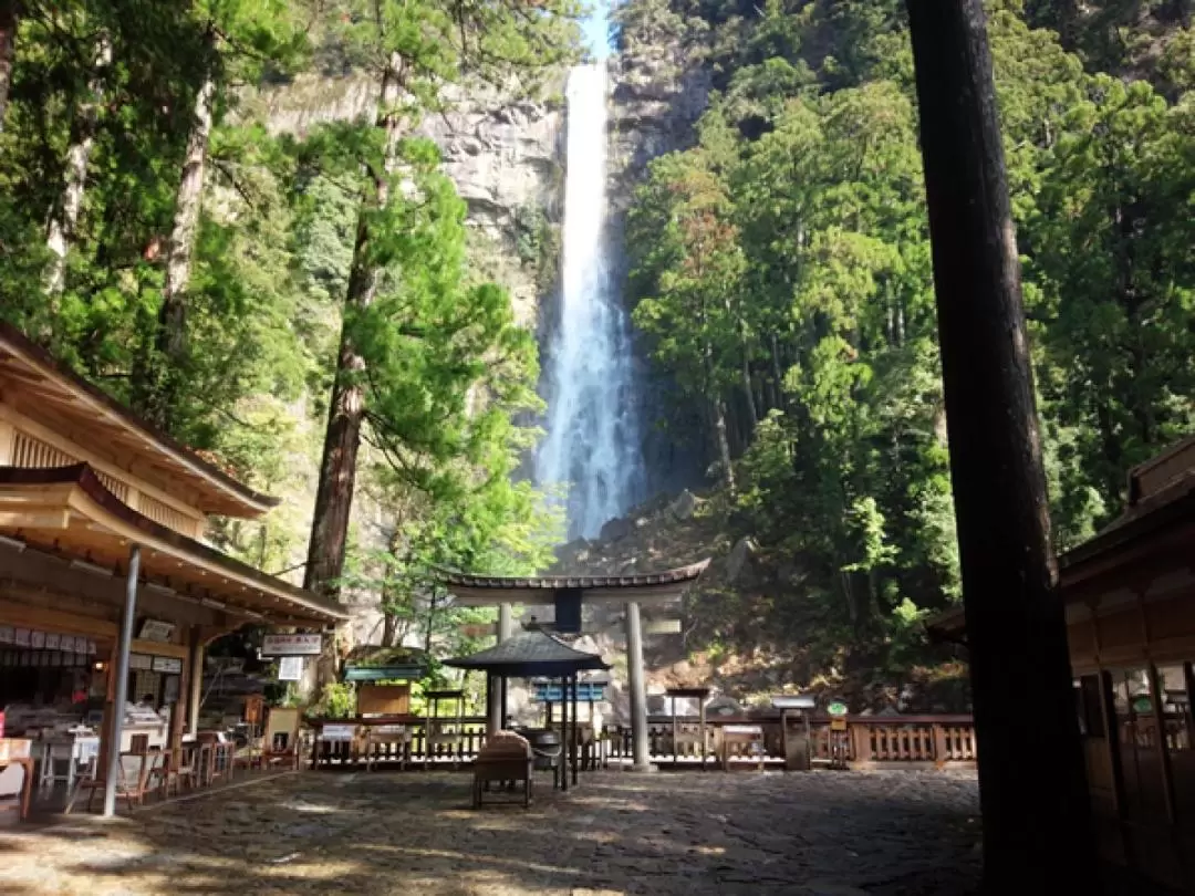 Kumano Kodo Walking Trail & Nachi Falls One Day Tour from Nagoya