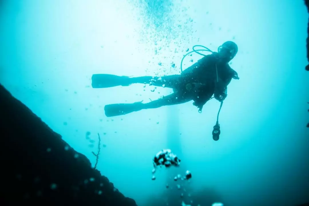 費特希耶水肺潛水體驗