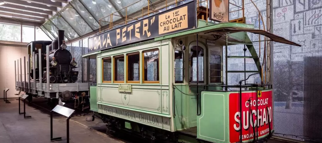 Swiss Museum of Transport Day Pass in Lucerne