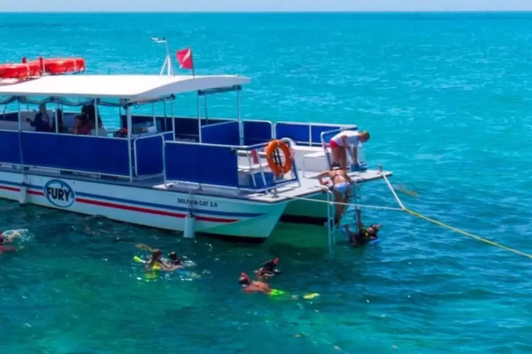 Dolphin Watching and Snorkeling Experience in Key West