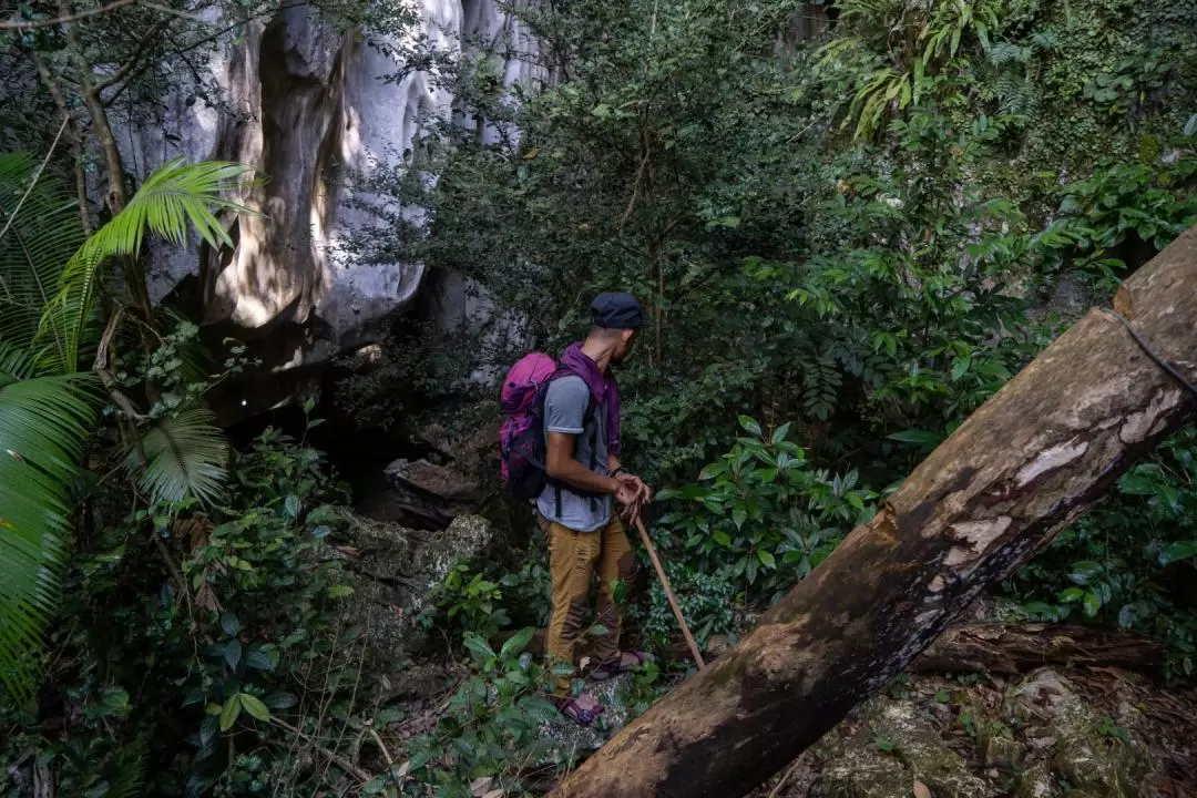Hiking and Caving Experience in Gua Musang