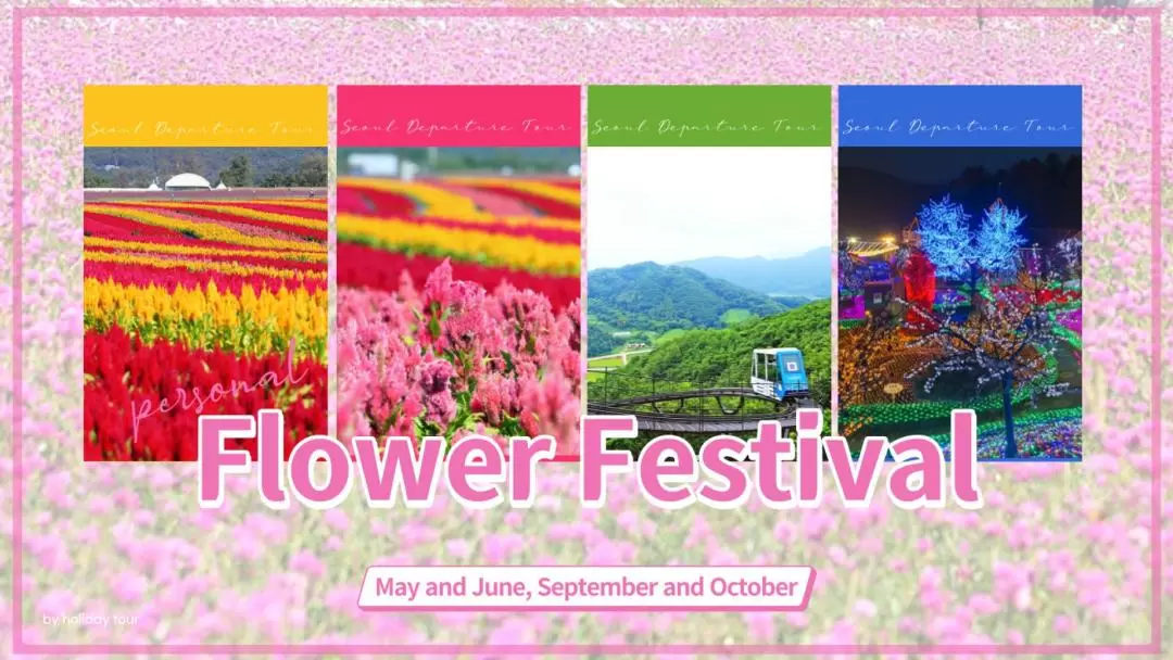 Goseokjeong Flower Field/Cheorwon Historical Day tour 