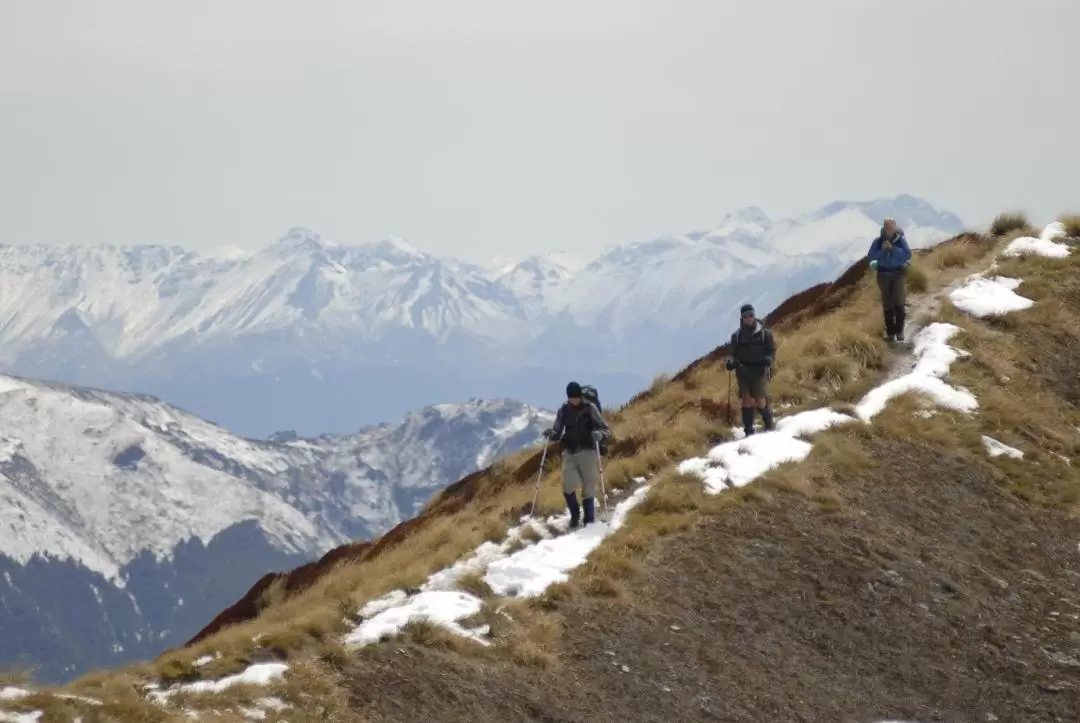 Fiordland Heli-Hike from Te Anau