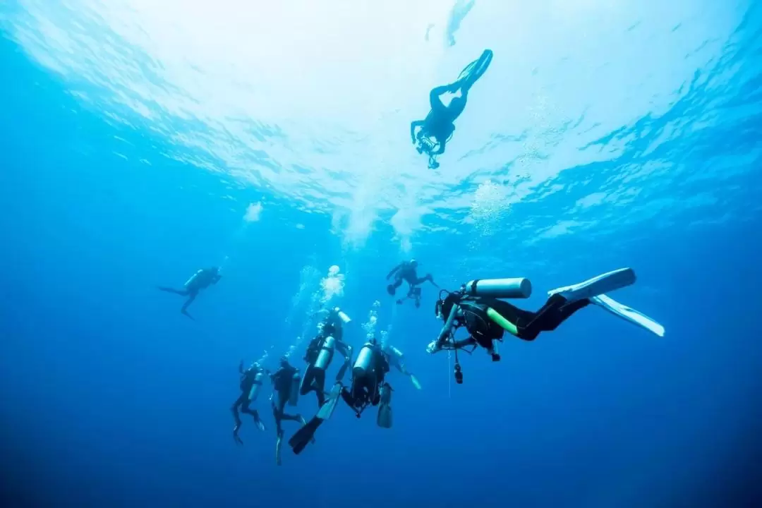 Discover Scuba Diving with PADI 5 Star Dive Center