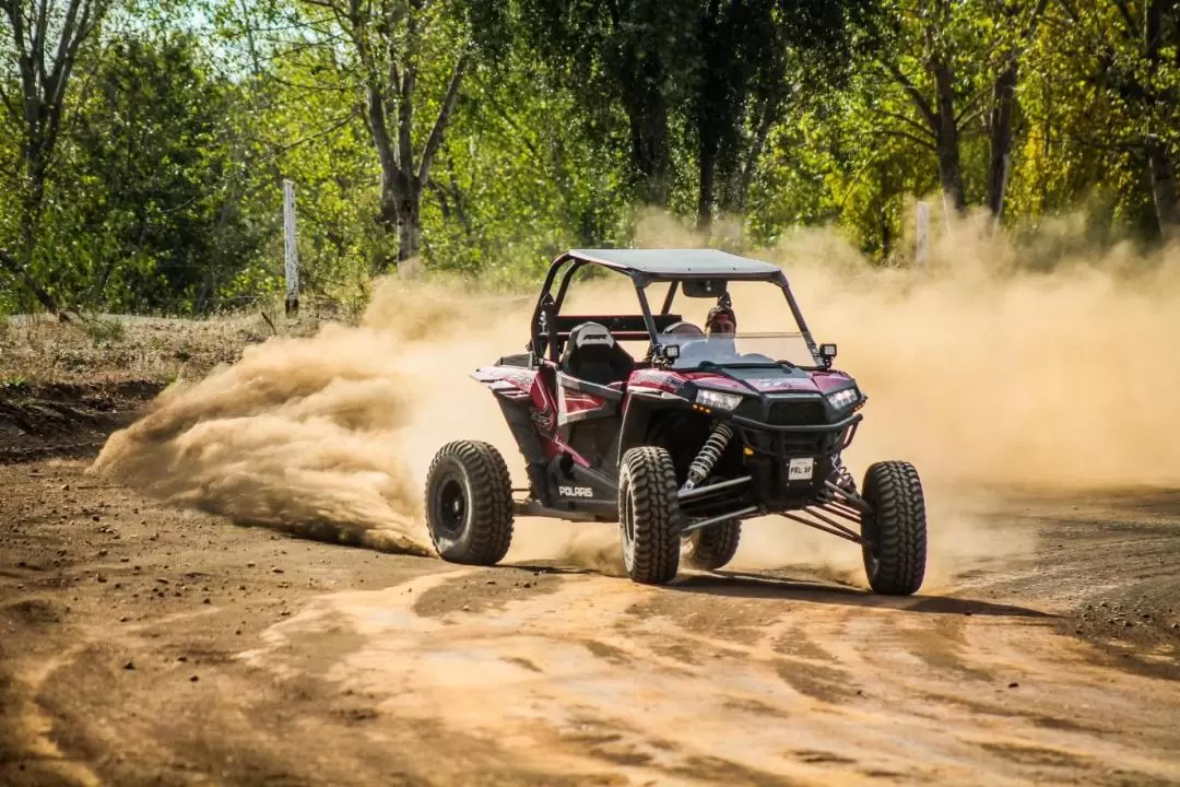 Morning Dune Buggy Adventure From Dubai