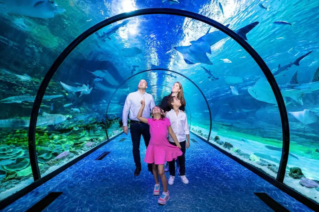 The National Aquarium Abu Dhabi Ticket